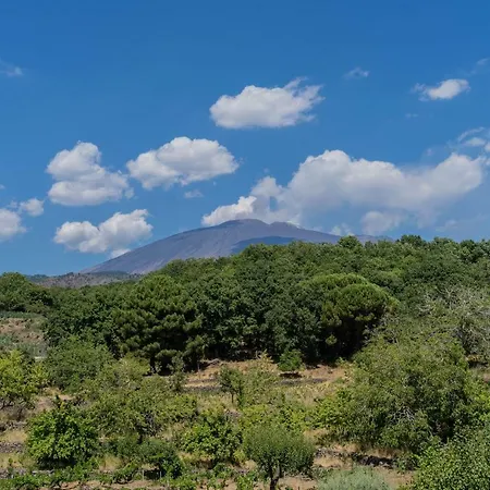 Le Vigne - Overlooking Etna Holiday home Adrano